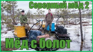 Мёд с болот | Северный мёд 2 Мёд с болот | Северный мёд 2
