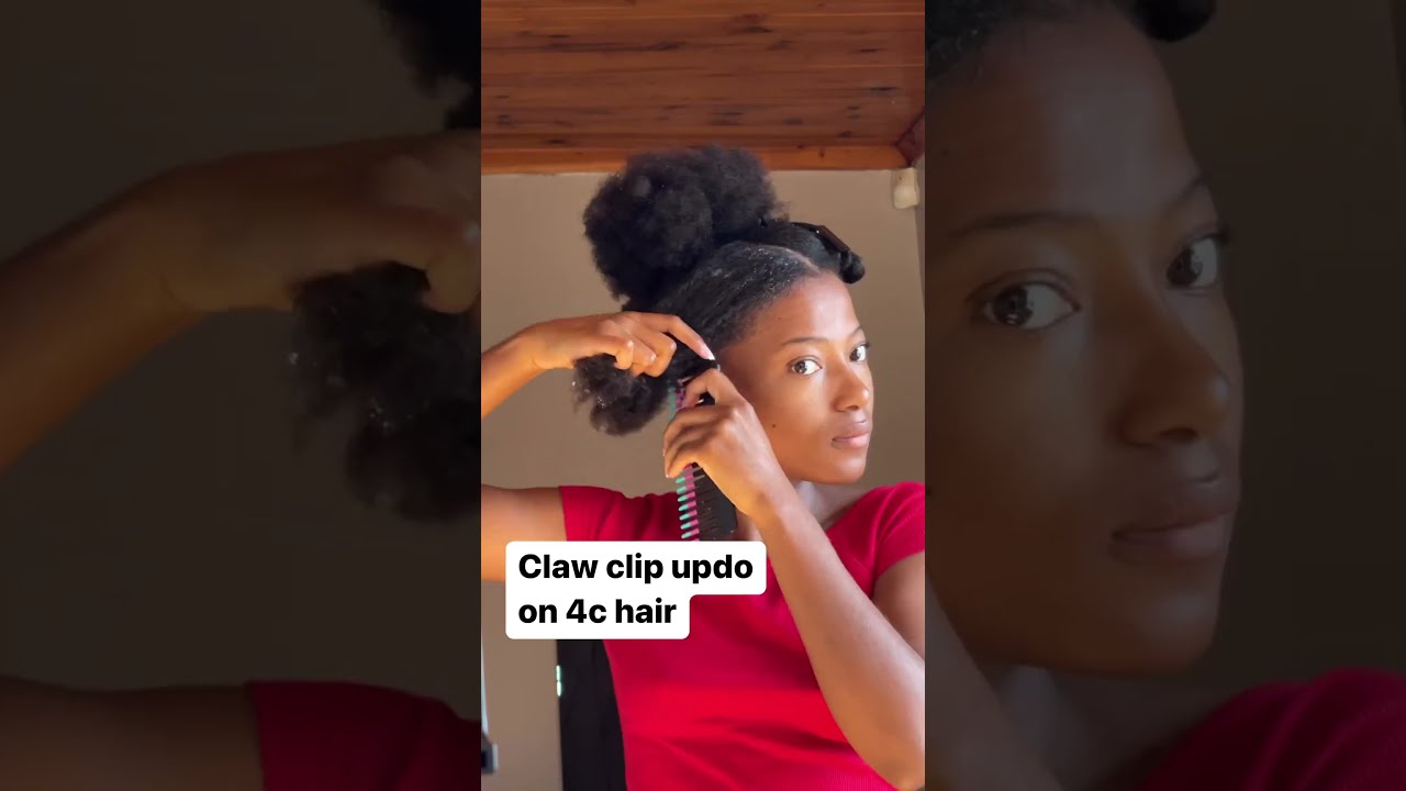 Claw Clip Hairstyle On Thick 4c Hair By Ivonenum Hairstyleideas Naturalhairstyles 4chairstyles