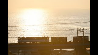 相模湾に陽が昇る EF65 2065牽引5086レ