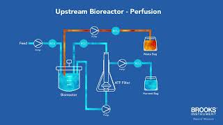 Ultrasonic Flow Meter with EtherNet/IP - Perfusion Systems (Upstream Bioreactors)