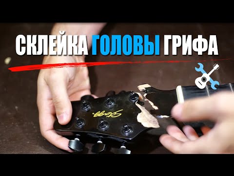 Склейка головы грифа