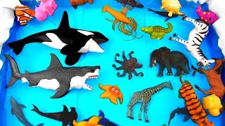 Learn Wild Animals with Big Shark Toys For Kids