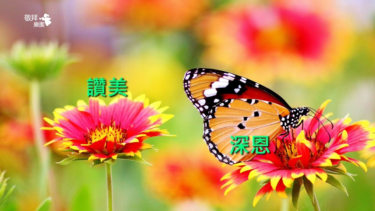 歡欣|字幕伴奏版|粵語詩歌|敬拜樂園 - YouTube