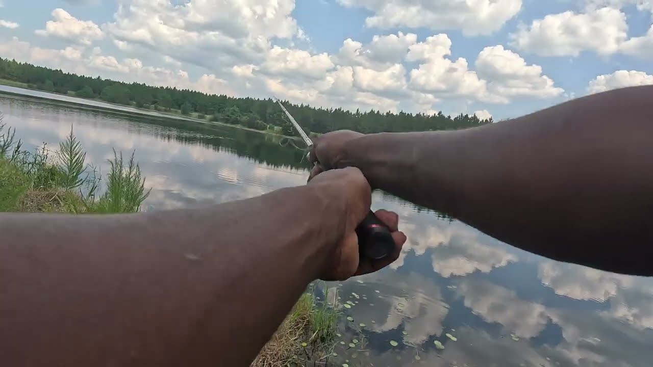 man-made Pond bass fishing #shortvideo #fishing #floridasportfishing #shorts #floridafishing