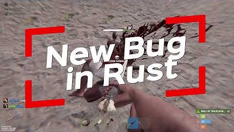 New Bug in Rust #shorts #rust #games