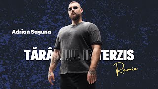 The Urs - Taramul Interzis  (  Adrian Saguna Remix )