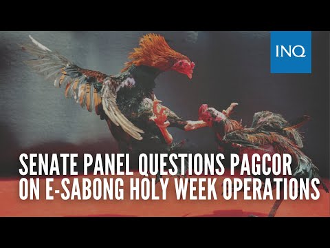 Senate panel questions Pagcor why some e sabong firms operated on Holy Week