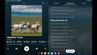 Altaylardan Tunaya 🇹🇷🐺