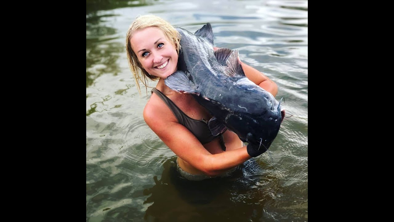 big tennessee catfish noodling tours