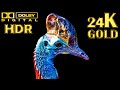 Wildlife animals 8kr 12kr  16k 60fps 120 fps ultra real dolby vision 24k gold