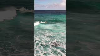 Making the most of a #wave on #northshore #oahu #hawaii #surf