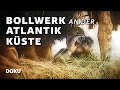 Bollwerk an der Atlantikküste (D-DAY, 2.Weltkrieg Doku, Originalaufnahmen, Dokumentation Deutsch)