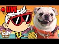 🔴 LIVE: Summer Party Marathon With The Louds & Pugs! 🏝  | The Loud House
