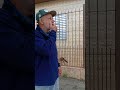 dê carinho e atenção para eles