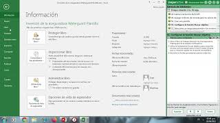 Validar - numeral  40 - 53 Excel Expert