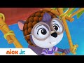 ОТВАЖНЫЕ ПТЕНЦЫ | Унесённая ветром белка Ширли | Nick Jr. Россия