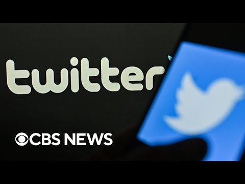 Twitter fires contractors in charge of moderating content