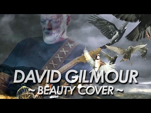 David Gilmour (+) Beauty