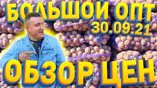 #23 Оптовые цены на овощи и фрукты / Обзор 30.09.2021 / Одесса Рынок Початок  / Рынок UA / Market UA