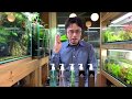 How to use fertilizers in a planted aquarium Part１ADA nature aquarium for beginners fresh water tips