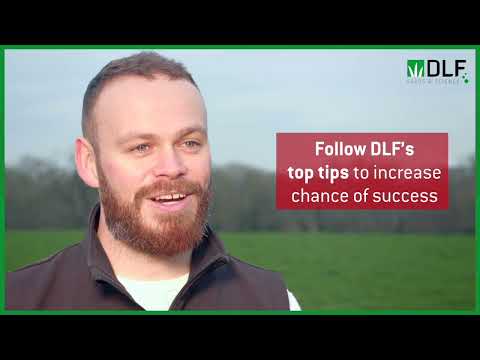 3 DLF Red & White Clover : grassland management increasing efficiency