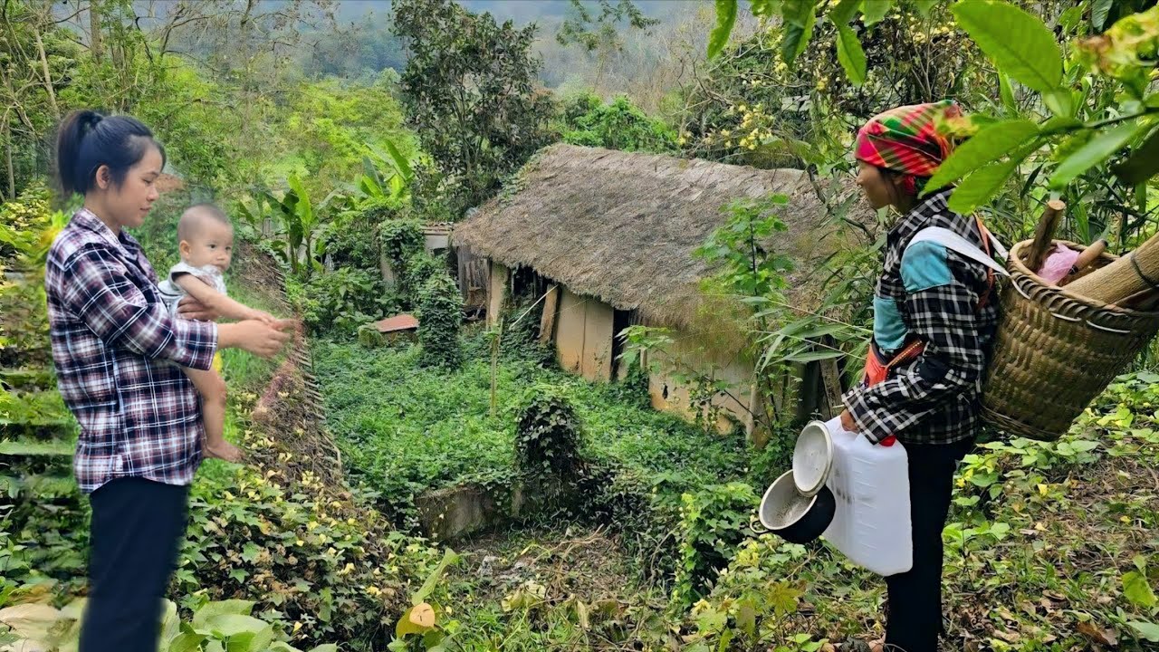 Full video: A stranger woman gives an abandoned house in the forest to a single mother