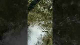 Tranquil Oasis: Soothing Water Flow for Stress Relief & Relaxation π