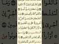 ما تيسر من سورة الشعراء آية 169 - 189