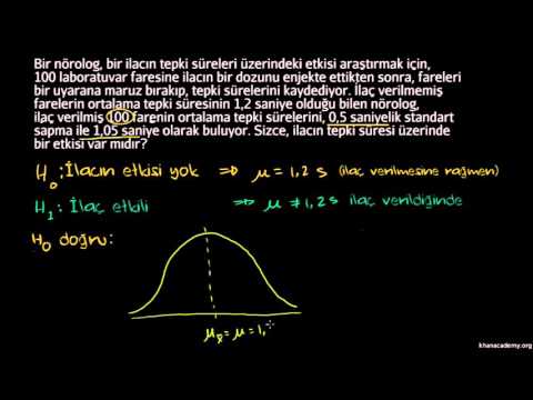 Video: Hipotezin tahmini ve test edilmesi ile ne demek istiyorsunuz?