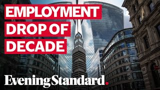 UK employment falls by biggest amount in over a decade