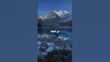 أكتب شئ تؤجر عليه 🤍🍂#ناصر_القطامي #قرآن #قران_كريم #اكسبلور #راحة_نفسية #تلاوة_خاشعة