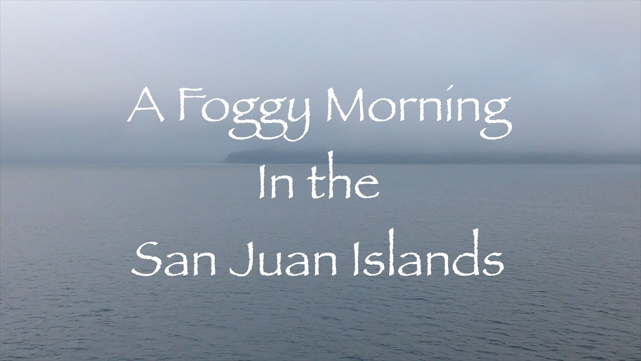 Foggy Morning in The San Juan Islands