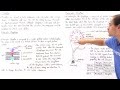 Flagella Function and Structure in Prokaryotic and Eukaryotic Cells