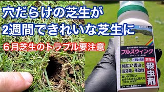 芝生用殺虫剤フルスウィングを散布