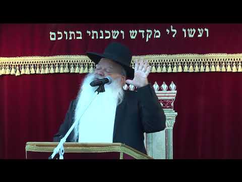 התשובה ליסורים | הרב דניאל זר