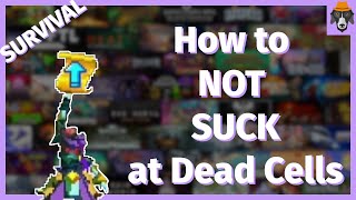 Survival Build Tips | How to not suck at Dead Cells | Part 2