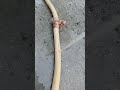 cheap pipe leakage 22 May 2026
