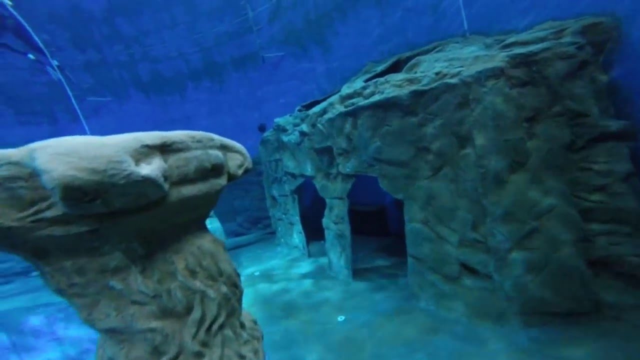 indoor freediving Luuk @ dive4life