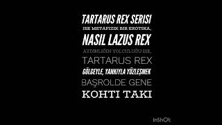 58 Yaşında Yeni Bir Hayat Yazmaya Başladım