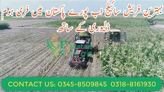 BEST AND FRESH SILAGE AVAILABLE IN OVER ALL PAKISTAN WITH FREE HOME DELIVERY 2020