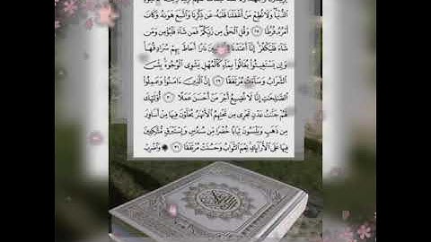 سورة الكهف من الايه. 28 إلى 31 .. كمال سالم دحدول