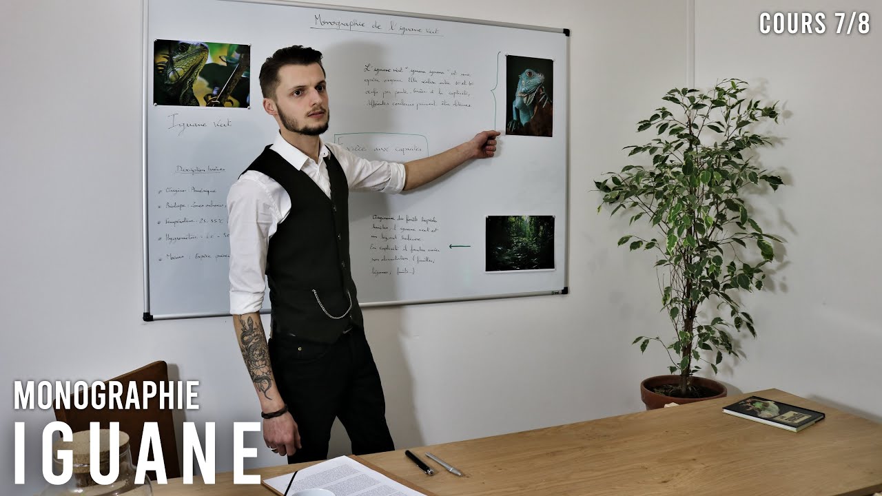 (Cours 7/8) – « Monographie de l'iguane vert » de Doc.Helson / Herpeto.