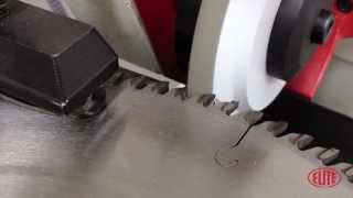 Afiladora automática de sierras circulares con diente de widia ELITE modelo AFILAmaq MD