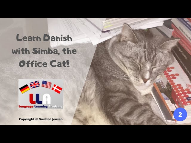 Learn Danish with Simba, the Office Cat! Part 2