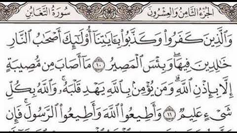 الشيخ أحمد العجمي - جزء قد سمع الله - سورة التغابن