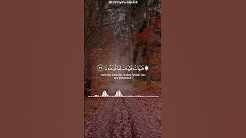 هيهات هيهات لما توعدون - سورة المؤمنون - الشيخ : ياسر الدوسري || ألا بذكر الله تطمئن القلوب