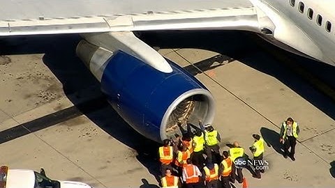 Jet Hits Birds, Makes Emergency Landing