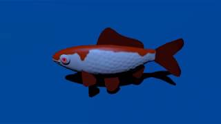 Fish Swim Simulation - A Blender Animation (DEMO)