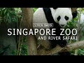 The amazing Singapore Zoo and River Safari | Simon Says Singapore