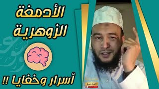 التسلط على الأدمغة الزوهرية 🧠 .. خفايا وأسرار ‼️ الراقي المغربي نعيم ربيع